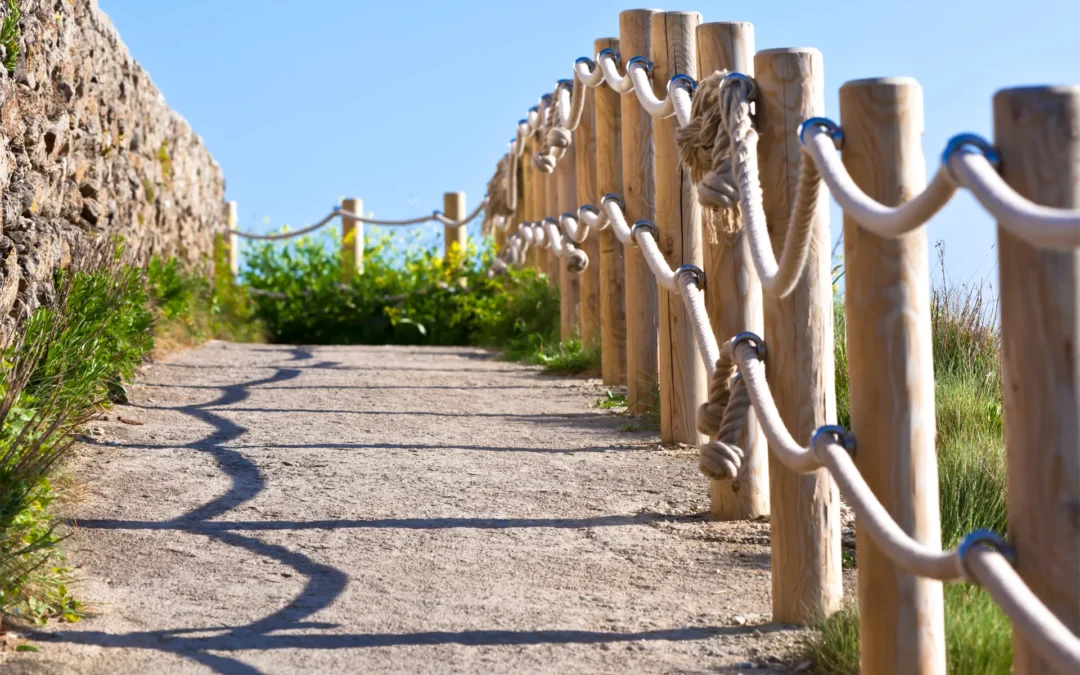 pathway-with-wood-post-fence-2023-11-27-05-28-28-utc